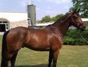 kone