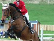 tn_54_beapostara_d_2013.jpg